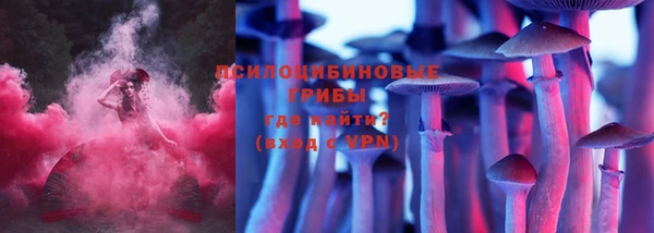 первитин Алексин