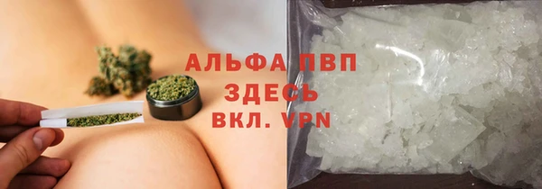 эйфоретик Аркадак