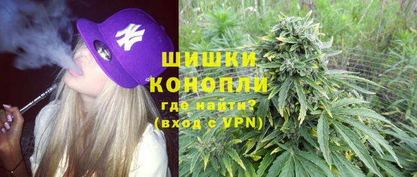 PSILOCYBIN Армянск