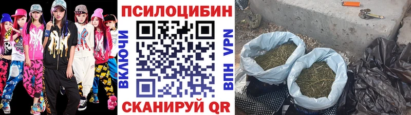 Галлюциногенные грибы Psilocybine cubensis  купить наркотик  Баймак 